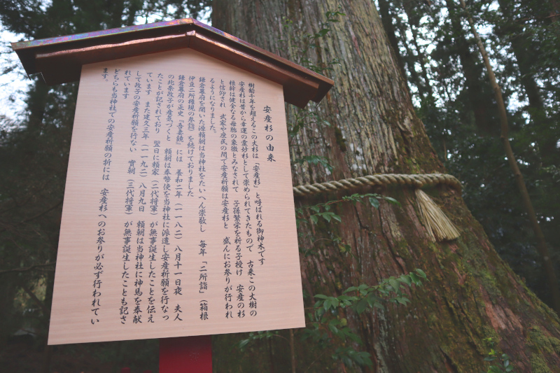 箱根神社は関東屈指のパワースポット 縁結びの九頭龍神社との両社参りで運気ｕｐ みやまえびいき